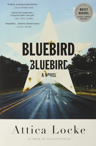 'Bluebird, Bluebird'