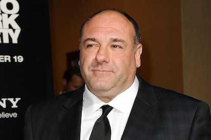 HOLLYWOOD, CA - DECEMBER 10:  Actor James Gandolfini attends the premiere of "Zero Dark Thirty" at t...